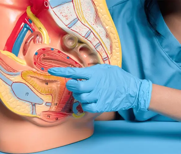 Ayurvedic Treatment for Fatty Liver Shinshiva Ayurvedashram